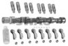 SWAG 40 32 0018 Camshaft Kit